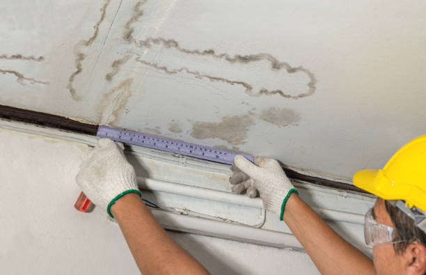 Reliable Water Damage contractor in Mendon, UT by Water Damage Irwin